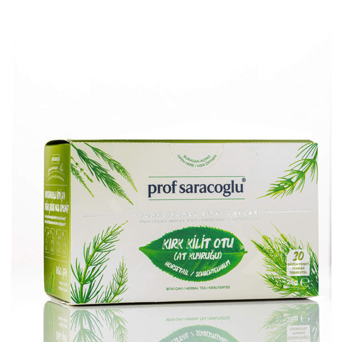 Horsetail (Equisetum arvense)